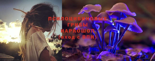гашик Беломорск