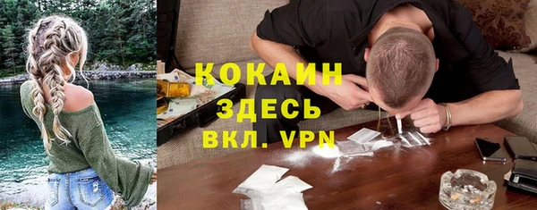 ПСИЛОЦИБИНОВЫЕ ГРИБЫ Белокуриха