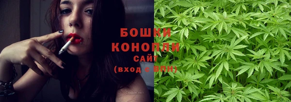 ПСИЛОЦИБИНОВЫЕ ГРИБЫ Белокуриха