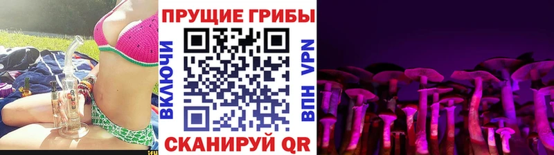 Галлюциногенные грибы Psilocybe  где купить   Яранск 